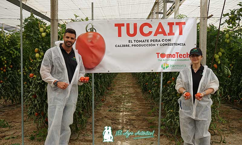 Javier Oliver y María José Flores en la jornada de tomate Tucait.